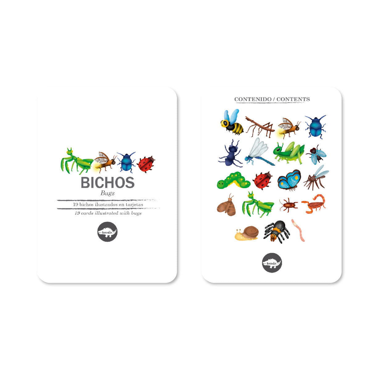 Flash Cards - Bichos