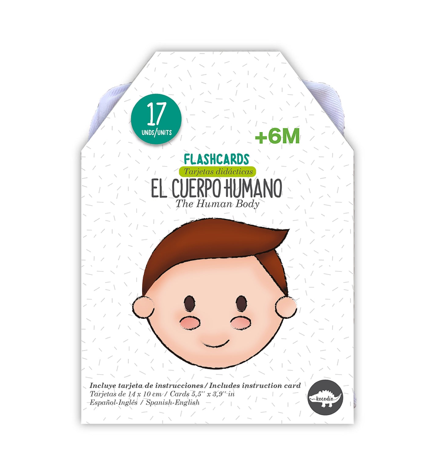 Flash Cards - Cuerpo humano