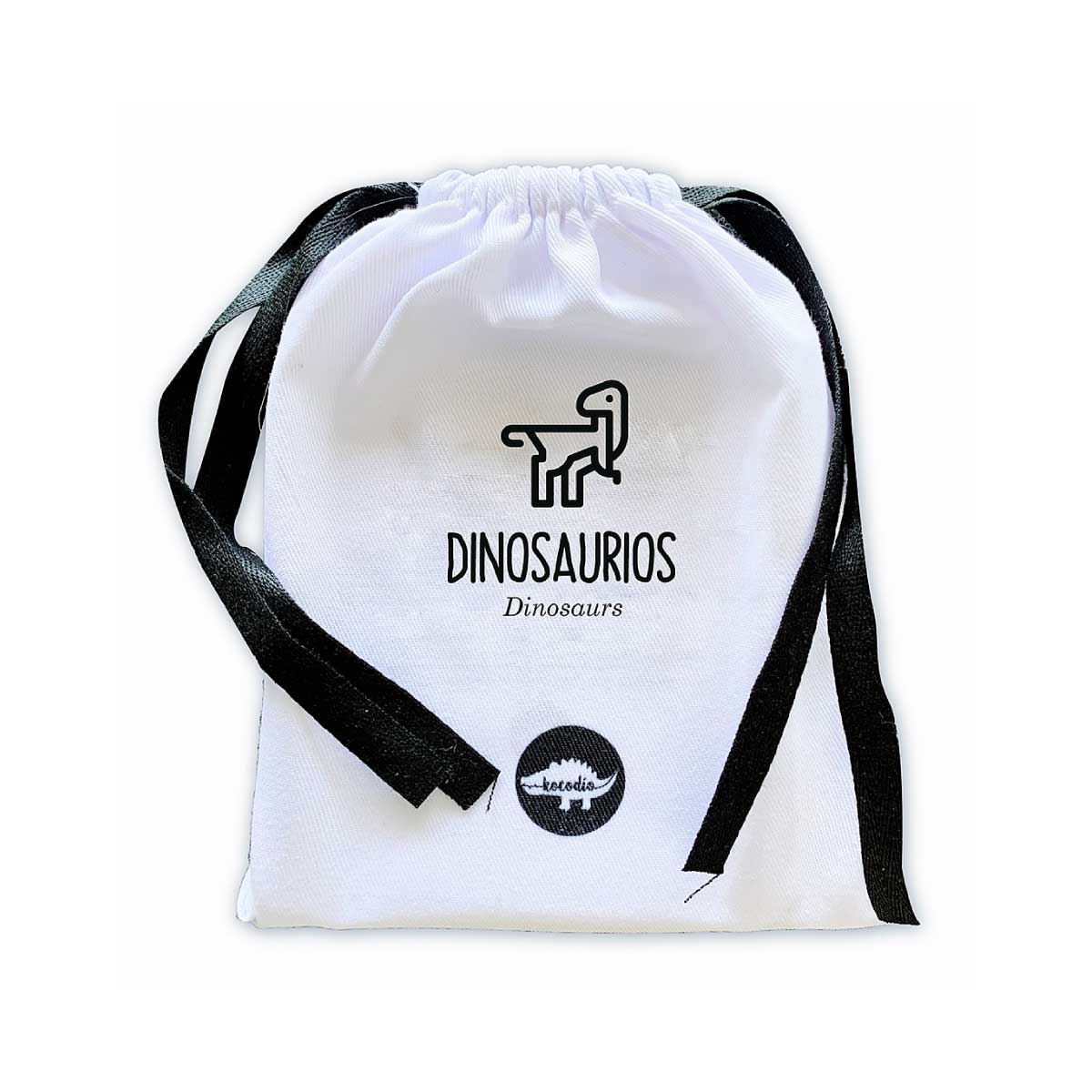 Flash cards- dinosaurios