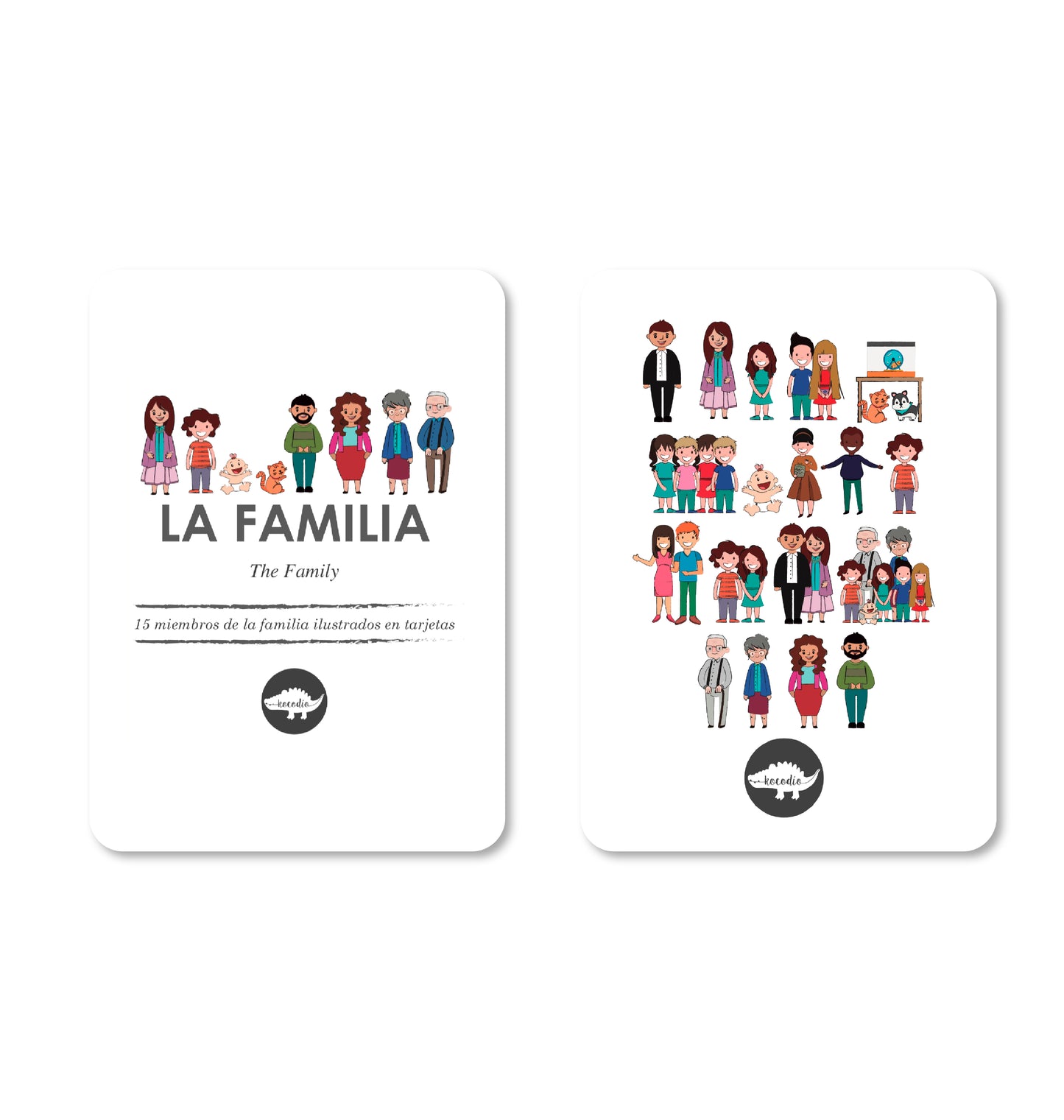 Flash Cards Familia